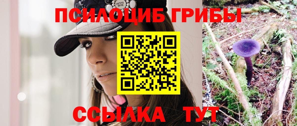 Донской  Псилоцибиновые грибы ЛСД  Вход с VPN 